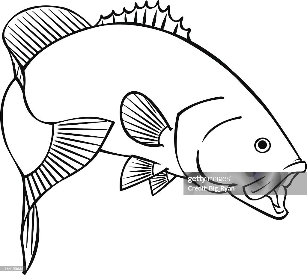Smallmouth bass
