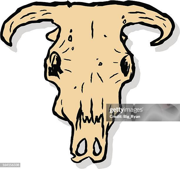 illustrazioni stock, clip art, cartoni animati e icone di tendenza di semplice cowskull - grande bacino degli stati uniti occidentali
