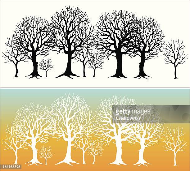 row of trees - bare tree silhouette stock illustrations
