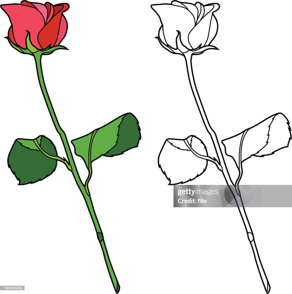 Res Roses Drawing Line Single Red Rose Drawing