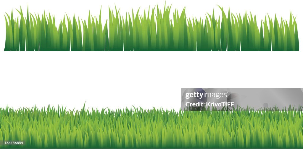 Green grass