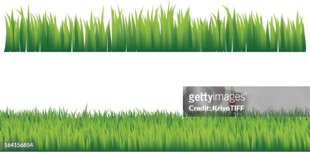 green grass - grass stock illustrations