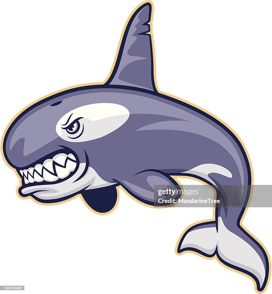 Killer Whale Mascot