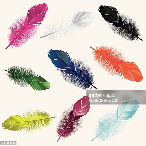 colorful feathers - pink feathers stock illustrations