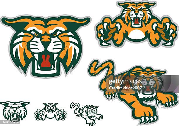 ilustraciones, imágenes clip art, dibujos animados e iconos de stock de tiger mascot - wildcat animal