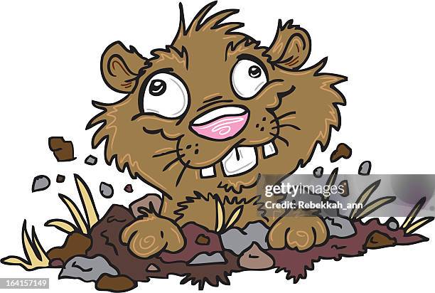 stupid critter - groundhog stock illustrations
