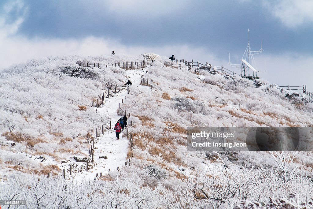 Climbing on Snowy Mountain