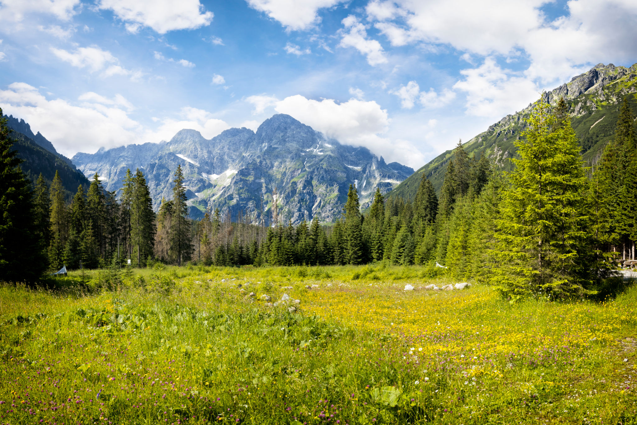 polish landscape