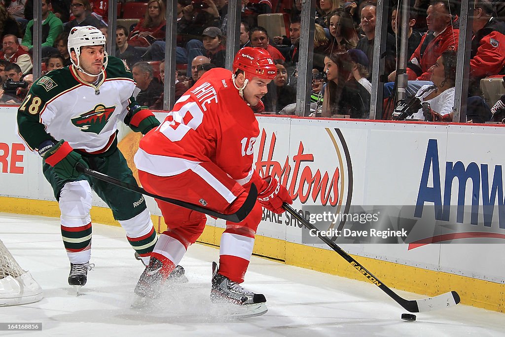 Minnesota Wild v Detroit Red Wings