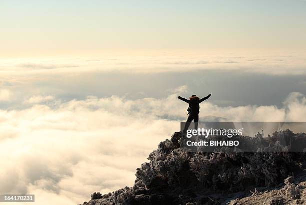 on top of the mountain - reaching summit stock pictures, royalty-free photos & images