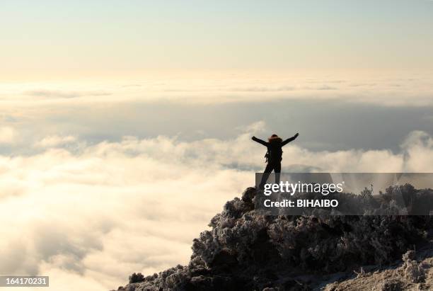 on top of the mountain - reaching stock pictures, royalty-free photos & images