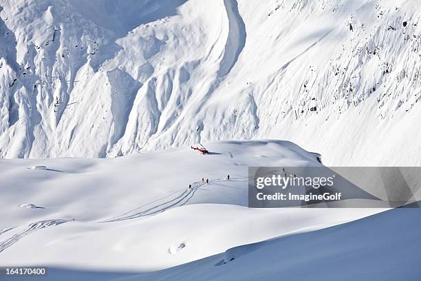 powder ski tracks on glacier - heli skiing stock pictures, royalty-free photos & images