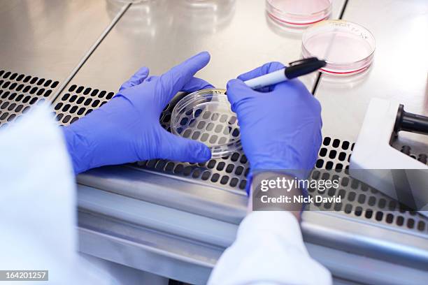 science laboratory - scientist at work stock pictures, royalty-free photos & images