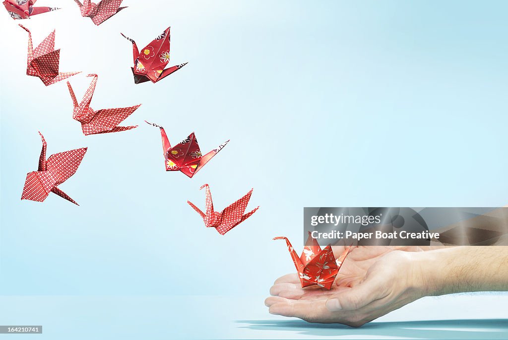 Red origami cranes flying away from hands