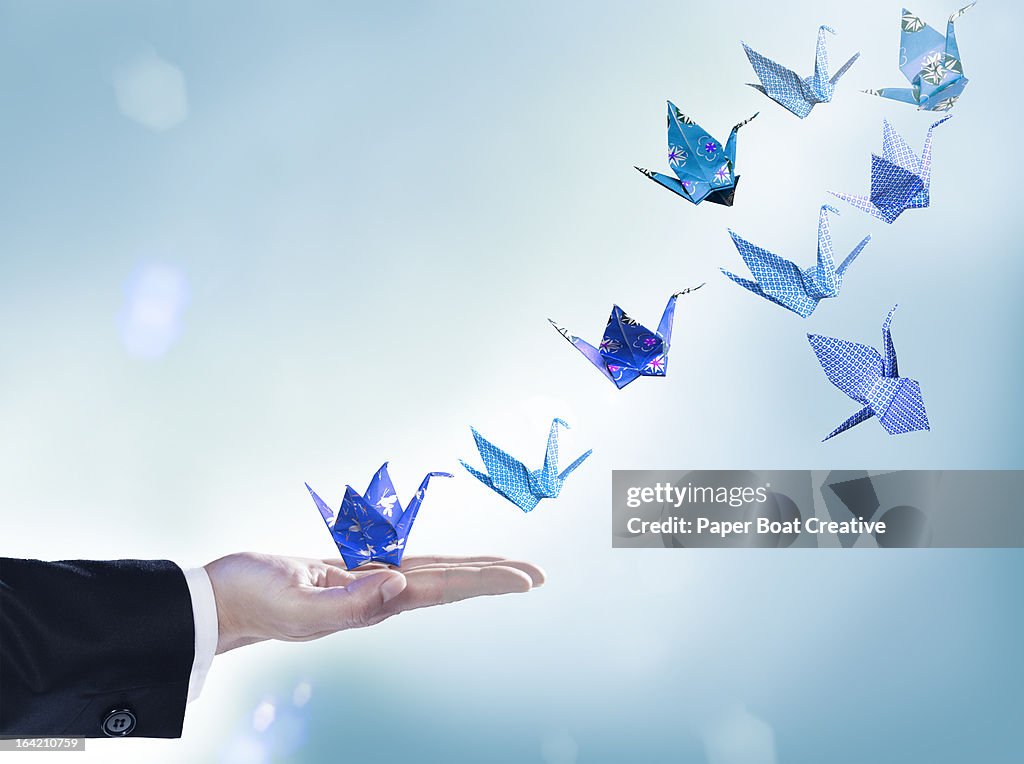 Origami cranes flying away from man's hand