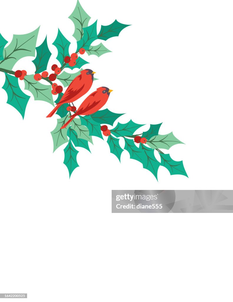 Cute Cardinal Holly Christmas Background With Copy Space