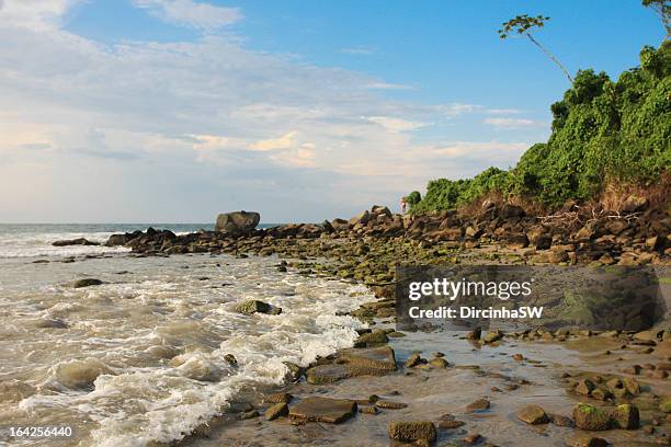 waves on the rocks on the beach. - forte beach stock-fotos und bilder