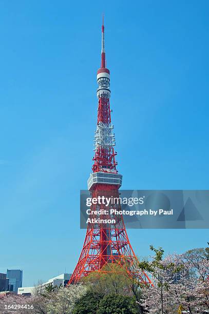 tokyo tower - torre di tokyo foto e immagini stock