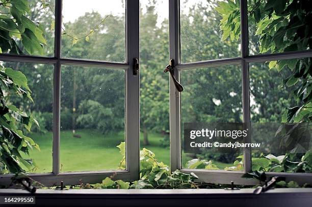 vines around an old ajar window - window sill stockfoto's en -beelden