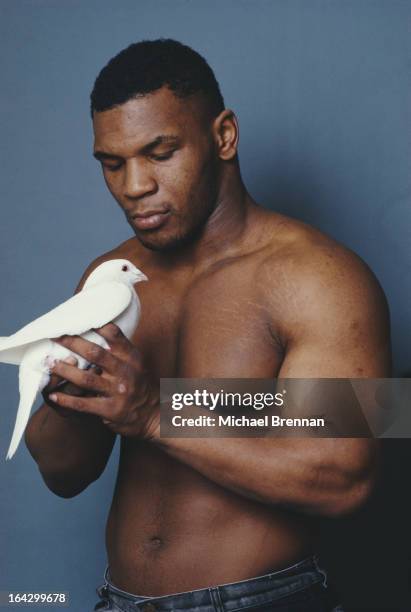 American heavyweight boxer Mike Tyson with one of his pet homing pigeons in Catskill, New York State, 1985.