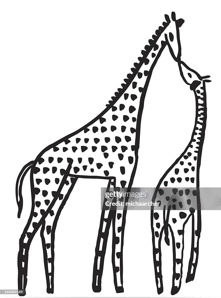 Giraffes