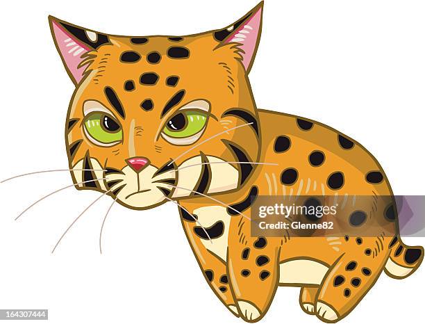 bobcat - whistler stock illustrations