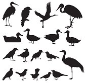 Silhouette of Birds (vector Set#2) seamless background