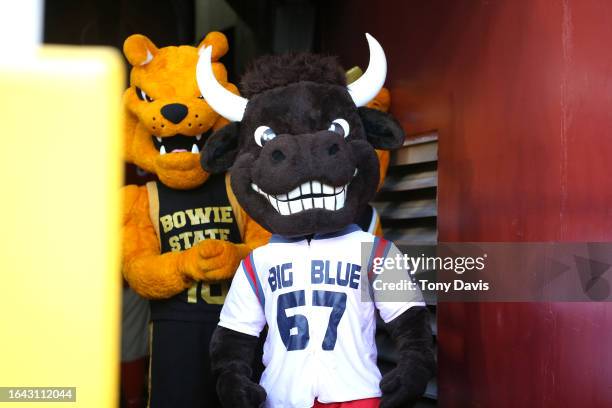 Howard University mascot Bison waits to run onto the field during halftime at an NFL preseason game between the Washington Commanders and the...