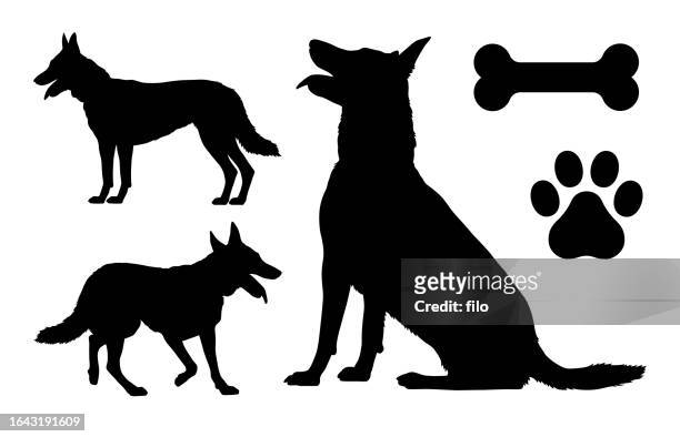 german shephard dog silhouette - german shepherd sitting stock illustrations