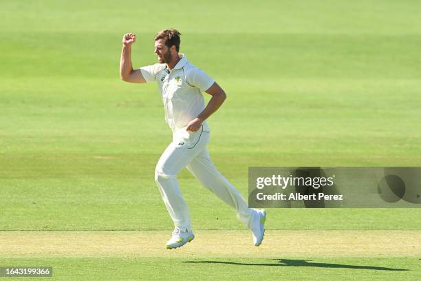 Mark Steketee of Australia A celebrates dismissing Nick Kelly of New Zealand A during the four day match between Australia A and New Zealand A at...