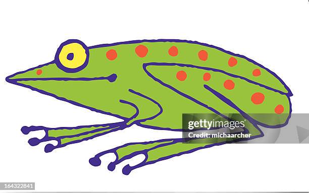 red spotted frog - poison dart frog stock illustrations