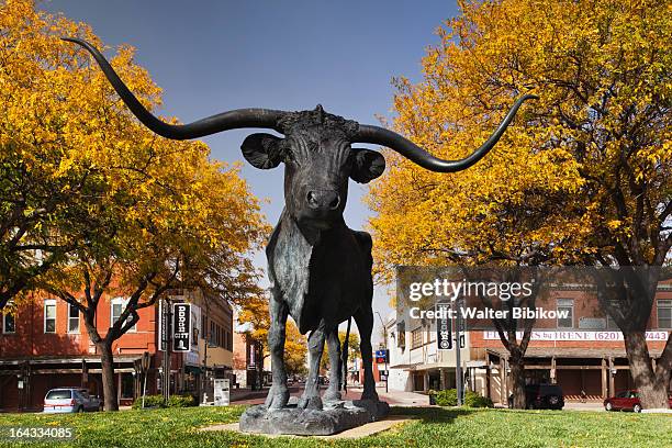 dodge city, kansas, exterior view - dodge-city-kansas stockfoto's en -beelden