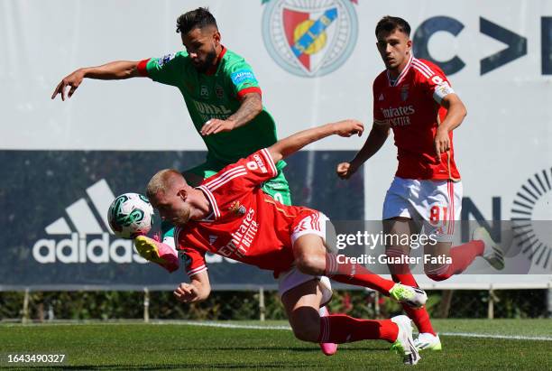 Pictures and Photos - Getty Images