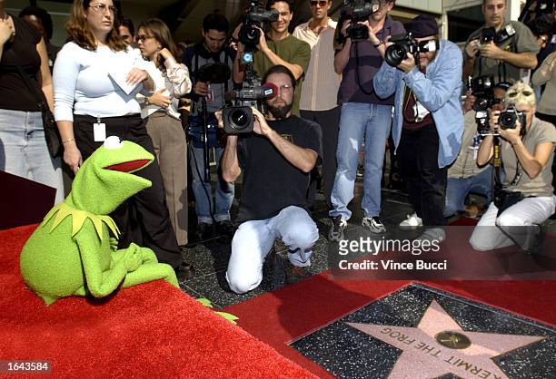 International television and movie star Kermit the Frog poses for the news media after receiving a star on the Hollywood Walk of Fame on November 14,...