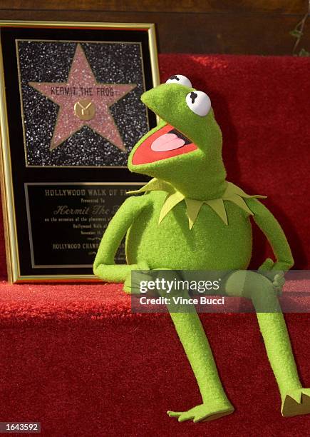 89 Animal Actors Walk Of Fame Photos and Premium High Res Pictures - Getty Images 89 Animal Actors Walk Of Fame Photos and Premium High Res Pictures - Getty Images