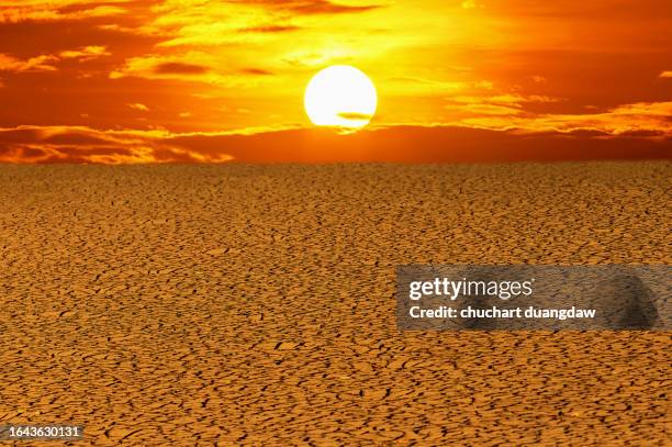 sun, global warming, global boiling, from the climate crisis and the catastrophic heatwave, climate change, the sun and burning heatwave hot sun - hittegolf stockfoto's en -beelden
