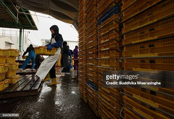 Woman unloads containers of sand lances from a vessel at Mega Fishing Port on March 23, 2013 in Himeji, Japan. Sand lances are a popular local...
