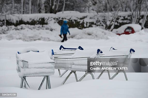 Supermarket trolleys are filled with snow in Mold, Flintshire, north Wales on March 23, 2013. Many parts of Britain continued to be blitzed on March...