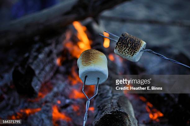 marshmallows roasting over bonfire - marshmallow stockfoto's en -beelden