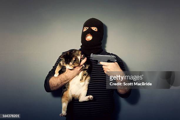 nobody move or the kitty gets it - scott macbride stock pictures, royalty-free photos & images