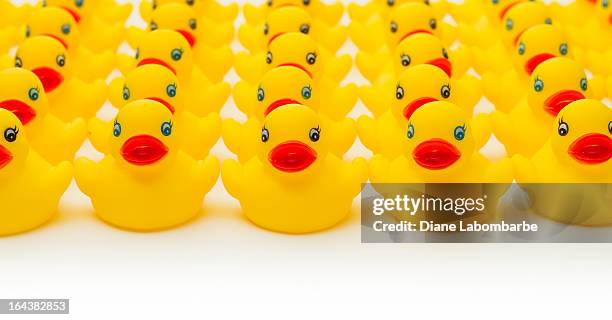 row of yellow rubber duckies. - rubber ducks in a row stock pictures, royalty-free photos & images