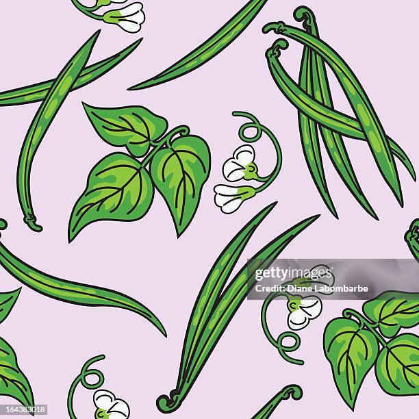 green beans pattern - green bean pattern stock illustrations
