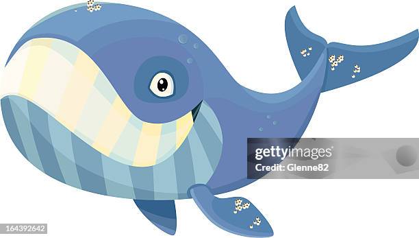 whale - blue whale stock illustrations