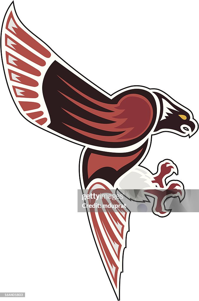 Aboriginal Hawk In Attack High-Res Vector Graphic - Getty Images
