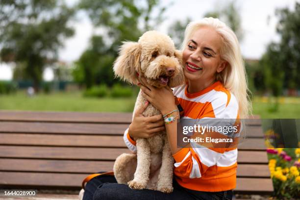 femme adulte mature dans un parc public jouant avec son mignon chien caniche - caniche photos et images de collection
