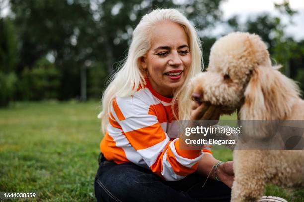 pet sitter se soucie des chiens. elle joue avec un chien à l’extérieur - caniche photos et images de collection