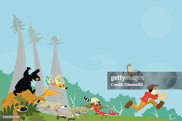 643 Bear Chasing Stock Photos, High-Res Pictures, and Images - Getty Images