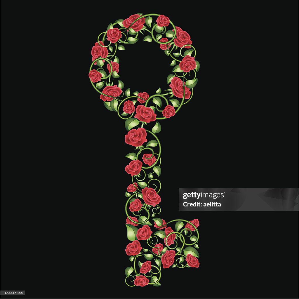 Rose Shape Key Rose Key High-Res Vector Graphic - Getty Images