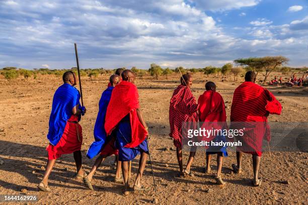 group of maasai warriors going back to village, kenya, africa - masai stock pictures, royalty-free photos & images