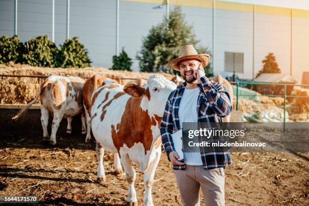 farm owner at his cow farm - cattle call stock pictures, royalty-free photos & images